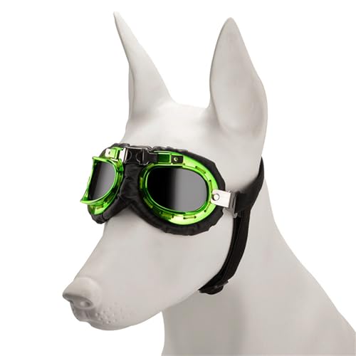 Regulierbare Hundesonnenbrille, Foto-Dekoration, Augenschutzbrille für aktive Tieraugen Regulierbare Hundesonnenbrille, Foto-Dekoration, Augenschutzbrille für aktive Tieraugen von NUEAYMS