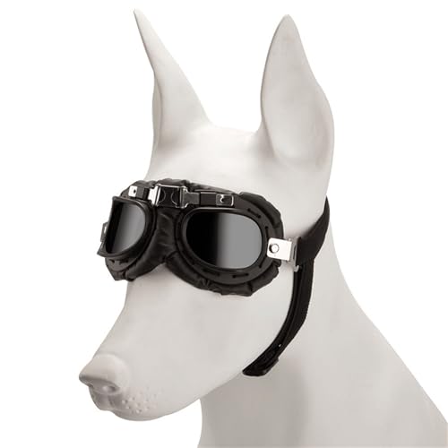 Regulierbare Hundesonnenbrille, Foto-Dekoration, Augenschutzbrille für aktive Tieraugen von NUEAYMS