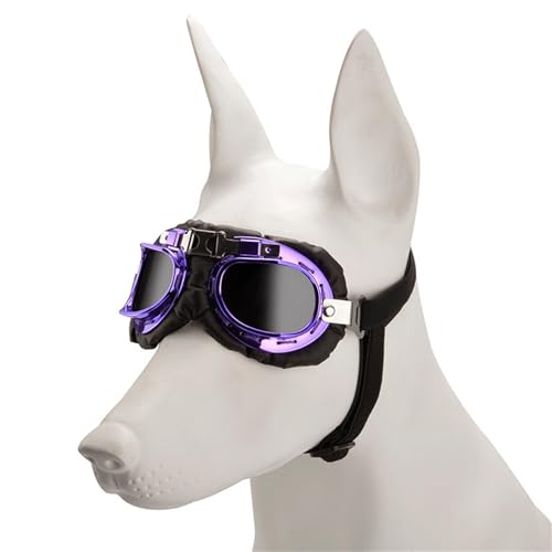Regulierbare Hundesonnenbrille, Foto-Dekoration, Augenschutzbrille für aktive Tieraugen Regulierbare Hundesonnenbrille, Foto-Dekoration, Augenschutzbrille für aktive Tieraugen von NUEAYMS