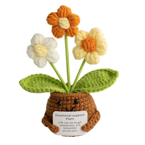 Schritt-für-Schritt-Anleitung: Häkel-Blumentopf für Anfänger mit natürlichem Baumwollfaden, langlebig, handgefertigt von NUEAYMS