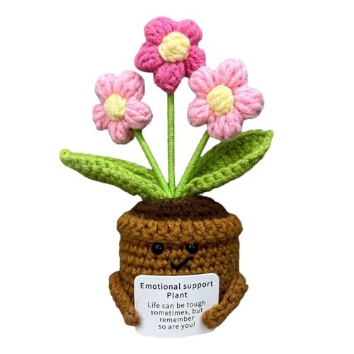 Schritt-für-Schritt-Anleitung: Häkel-Blumentopf für Anfänger mit natürlichem Baumwollfaden, langlebig, handgefertigt von NUEAYMS