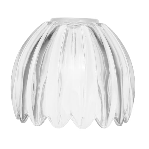 NULYLU Klarer Glas-lampenschirm Kürbisform Handgefertigt Glaskugel Lampenschirm für Wohnzimmer Schlafzimmer Küche Flur Badezimmer Dekorative Tischlampe von NULYLU