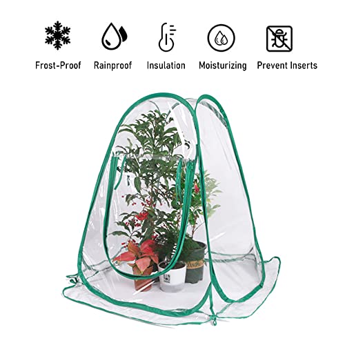 Mini Greenhouse PVC Transparent Plant Cover Pop Up Protecting Flower Grow Gardening Shelter Frost Tents Sunshine Room 70x70x80cm Greenhouse Steel Hoops Storage Bag von NUMNBE