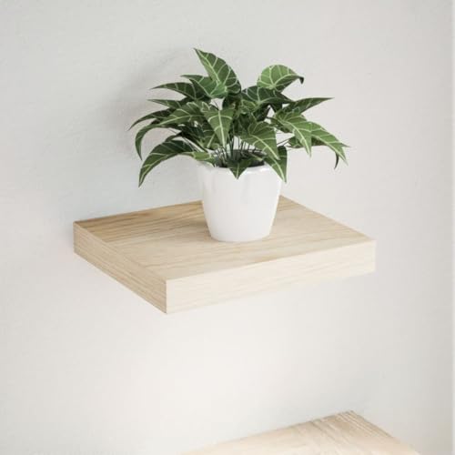 NUMNBE schwebendes Wandregal 23 x 23 cm minimalistisches Design Eichenfurnier geöltes Holz Wohnzimmer Dekoration von NUMNBE