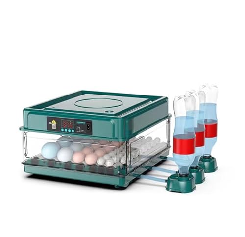 NUMNER Automatische Brutmaschine, automatischer Inkubator für 36 Eier, Temperaturkontrolle, automatische Umdrehung der Eier, Inkubation für Hühnereier, Cane und Wachteln NUMNER Automatische Brutmaschine, automatischer Inkubator für 36 Eier, Temperaturkontrolle, automatische Umdrehung der Eier, Inkubation für Hühnereier, Cane und Wachteln von NUMNER
