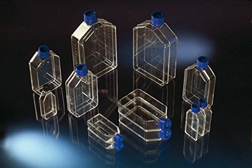 NUNC 056390 Easy Flask Zellkulturflasche 25 cm2 Poly-D-Lysin beschichtet von NUNC