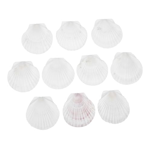 NUOBESTY 10 Stück Teiliges Natürliche Weiße Muschelschalen Langlebige DIY Bastelsets für Kerzen Backgeschirr und Meeresdekor Geeignet für Strand Meerjungfrau Motive NUOBESTY 10 Stück Teiliges Natürliche Weiße Muschelschalen Langlebige DIY Bastelsets für Kerzen Backgeschirr und Meeresdekor Geeignet für Strand Meerjungfrau Motive von NUOBESTY