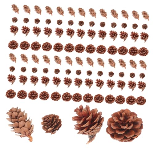 NUOBESTY 150 Stück Teiliges Natürliche und Eicheln Rustikale Dekoration Nachhaltige Vase Füller DIY Bastelmaterial für Handgemachte Wohnaccessoires und Natürliche Tischdeko von NUOBESTY