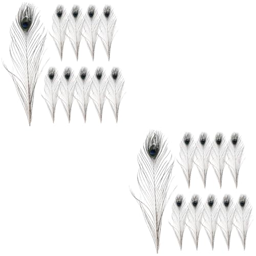 NUOBESTY 2 Sätze Pfauenfeder Federn Zum Basteln Federn- Für Vase Handwerkliche Federn Im Retro-Stil Wedding Decoration Pfaufedern Masse Federn Natürliche Federn 10 Stück * 2 von NUOBESTY