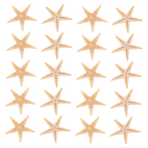 NUOBESTY 20 Stück Kerzen Tropfdekoration Strandthema Epoxid Zubehör Mini Bleistift Finger Meeresthema Kerzendekor Mini Natürlicher Seestern Epoxidharz Seestern Natürliche von NUOBESTY