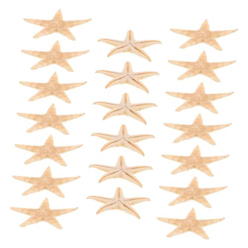 NUOBESTY 20 Stück Kerzen Tropfende Dekoration Bleistift Finger Seestern Mini-seestern Kerzendekoration Selber Machen Strand Seestern Strandhochzeitsdekor Meeresstern Natürliche Zutaten NUOBESTY 20 Stück Kerzen Tropfende Dekoration Bleistift Finger Seestern Mini-seestern Kerzendekoration Selber Machen Strand Seestern Strandhochzeitsdekor Meeresstern Natürliche Zutaten von NUOBESTY