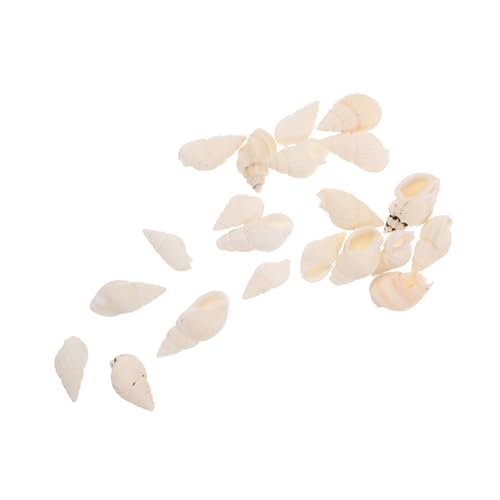NUOBESTY 20 Stück Kerzen Tropfende Dekoration DIY Muschelornamente Muschelverzierung Strandmuschelperlen Bastelbedarf Für Muscheln Verzierungen Mit Strandmotiven Mini-Muschel-Ornamente Weiß NUOBESTY 20 Stück Kerzen Tropfende Dekoration DIY Muschelornamente Muschelverzierung Strandmuschelperlen Bastelbedarf Für Muscheln Verzierungen Mit Strandmotiven Mini-Muschel-Ornamente Weiß von NUOBESTY
