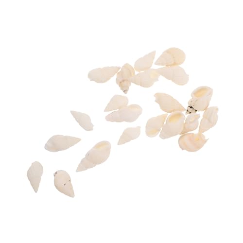 NUOBESTY 20 Stück Kerzen Tropfende Dekoration Verzierungen Mit Strandmotiven Mini-Muschel-Ornamente Muschelverzierung Muscheln Selber Basteln Strandmuschelperlen DIY Muschelornamente Weiß NUOBESTY 20 Stück Kerzen Tropfende Dekoration Verzierungen Mit Strandmotiven Mini-Muschel-Ornamente Muschelverzierung Muscheln Selber Basteln Strandmuschelperlen DIY Muschelornamente Weiß von NUOBESTY