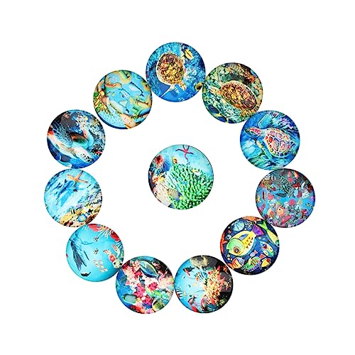 NUOBESTY 20st Bilderglas Cabochons Kuppelfliesen Cameo Kristall-cabochons Scrapbooking Glas Mosaik Glasfliesenanh?nger Klare Kuppelfliesen Schmuckherstellung Stein Charme Material NUOBESTY 20st Bilderglas Cabochons Kuppelfliesen Cameo Kristall-cabochons Scrapbooking Glas Mosaik Glasfliesenanh?nger Klare Kuppelfliesen Schmuckherstellung Stein Charme Material von NUOBESTY
