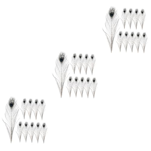 NUOBESTY 3 Sätze Pfauenfeder Wedding Decoration Pfaufedern Home Decoration Federkleid Stule Handwerkliche Federn Im Retro-Stil Federn Selber Machen Federn- Für Vase 10 Stück * 3 von NUOBESTY