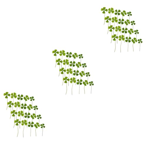 NUOBESTY 3 Sätze Teiliges Getrocknete Gepresste Vierblättrige Pflanzen Für DIY Basteln Natürliche Trockenblumen Für Harz Schmuck Kerzen Und Dekoherstellung Langlebige 24 Stück * 3 NUOBESTY 3 Sätze Teiliges Getrocknete Gepresste Vierblättrige Pflanzen Für DIY Basteln Natürliche Trockenblumen Für Harz Schmuck Kerzen Und Dekoherstellung Langlebige 24 Stück * 3 von NUOBESTY