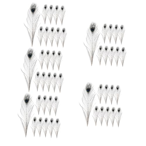 NUOBESTY 5 Sätze Pfauenfeder Im Retro-Stil Natürlicher Echter Pfau Party Federschmuck Federn- Für Vase Federn Wanddekoration Handwerkliche Federn Natürliche Federn 10 Stück * 5 von NUOBESTY