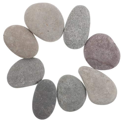 NUOBESTY 8 Stück Glatte Flusskiesel für Kreative Bastelprojekte zum Bemalen für Gartendekorationen NUOBESTY 8 Stück Glatte Flusskiesel für Kreative Bastelprojekte zum Bemalen für Gartendekorationen von NUOBESTY