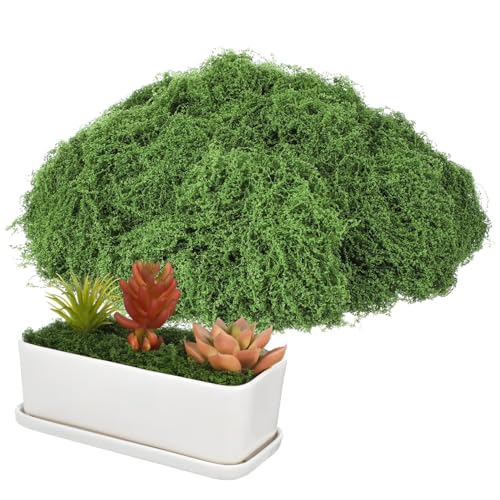 NUOBESTY Fake Moss für Bastelprojekte Dekorative Pflanze für Hochzeitsfeiern Tischdekoration und Innenraumgestaltung von NUOBESTY
