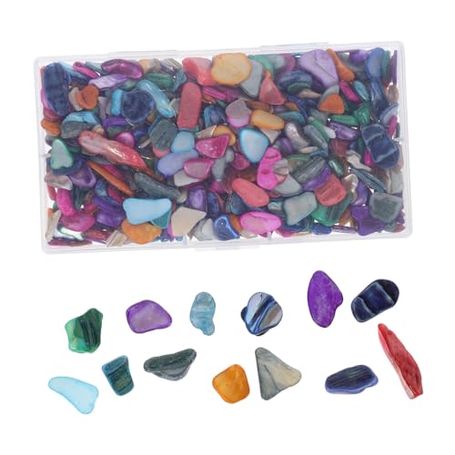 NUOBESTY Mosaik Bunte Unregelmäßige Muschelfragmente Zum Basteln Dekorative Muschelstücke Geformte Chips Für Vasen Stifthalter Kerzenhalter von NUOBESTY