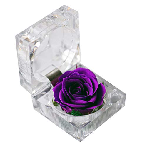 NUOBESTY Jahrestag konservierte Rose nie verwelkte Rosen frische Rose in Box Geschenk für Valentinstag Muttertag Hochzeit Geburtstag Jubiläum (lila) Christmas von NUOBESTY