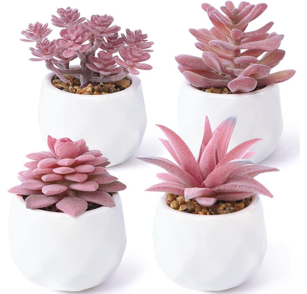 Kunstblume Künstliche Sukkulenten Pflanzen, 4 Stück Klein Mini Kunstpflanzen, NUODWELL von NUODWELL