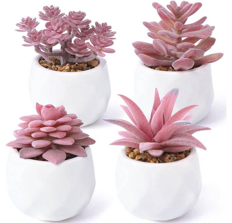 Kunstblume Künstliche Sukkulenten Pflanzen, 4 Stück Klein Mini Kunstpflanzen, NUODWELL Kunstblume Künstliche Sukkulenten Pflanzen, 4 Stück Klein Mini Kunstpflanzen, NUODWELL von NUODWELL