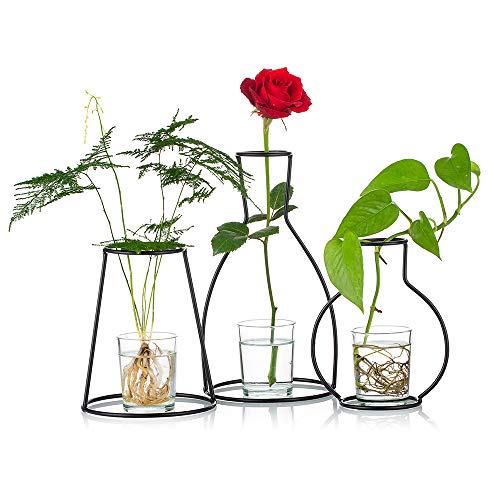 NUPTIO Set mit 3 Kreativen Blumentöpfen für Den Schreibtisch, mit Glasbecher, Vasen und Metallständer aus Eisen für Wasserpflanzen, Blumengestecke Dekoration (3 Stck) von NUPTIO