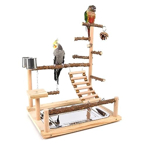 Haustier Papageien Spielstand Papageien Vogel Spielplatz Vogel Spielstand Hölzerne Sitzstange Spielplatzleiter Mit Stahl Futterplatte Papageien Spielstand Für Große Vögel Papageien Baum von NURCIX