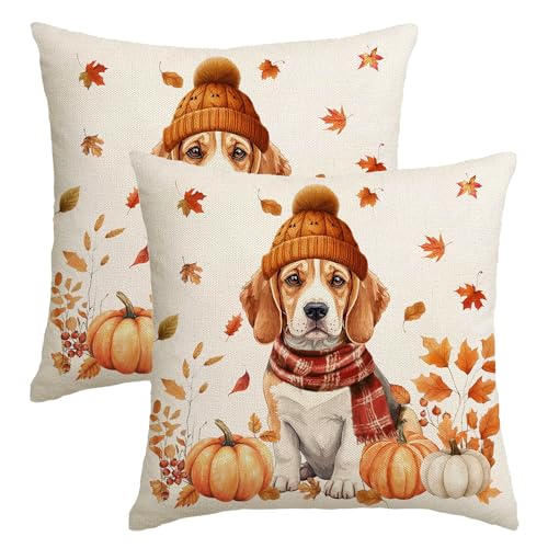 Herbst-Kissenbezüge, 45,7 x 45,7 cm, 2 Stück, Beagle-Kürbisse, Ahornblätter, Dekoration, Blumenmuster, Bauernhaus, Herbst, Erntedankfest, Dekoration für Zuhause, Sofa, Couch Herbst-Kissenbezüge, 45,7 x 45,7 cm, 2 Stück, Beagle-Kürbisse, Ahornblätter, Dekoration, Blumenmuster, Bauernhaus, Herbst, Erntedankfest, Dekoration für Zuhause, Sofa, Couch von NUTEEN