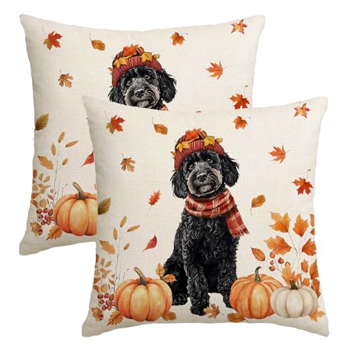 Herbst-Kissenbezüge, 45,7 x 45,7 cm, 2 Stück, Herbst-Schwarz-Goldendoodle-Dekorationen für Zuhause, Ernte, Outdoor, Erntedankfest, Hund, Ahornblatt-Dekor, Lendenwirbelkissen, Landhaus für Couch Herbst-Kissenbezüge, 45,7 x 45,7 cm, 2 Stück, Herbst-Schwarz-Goldendoodle-Dekorationen für Zuhause, Ernte, Outdoor, Erntedankfest, Hund, Ahornblatt-Dekor, Lendenwirbelkissen, Landhaus für Couch von NUTEEN