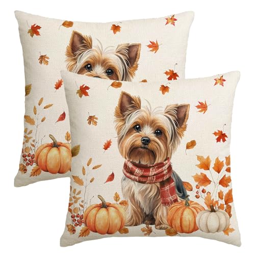 Herbst-Kissenbezüge, 45,7 x 45,7 cm, Set mit 2 Kissenbezügen für Hunde, Yorkshire, Herbstdekorationen für Zuhause, Outdoor, Erntedankfest, Kürbis-Dekor, dekorative Wurfkissenbezüge für Couch Herbst-Kissenbezüge, 45,7 x 45,7 cm, Set mit 2 Kissenbezügen für Hunde, Yorkshire, Herbstdekorationen für Zuhause, Outdoor, Erntedankfest, Kürbis-Dekor, dekorative Wurfkissenbezüge für Couch von NUTEEN