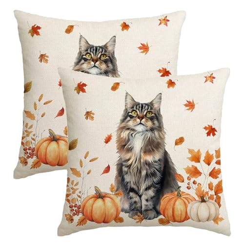 Herbst-Kissenbezüge, 45,7 x 45,7 cm, Set mit 2 dekorativen Kissenbezügen, Herbstdekorationen für Zuhause, Outdoor, Erntedankfest, Kürbis-Dekor, dekorative Wurfkissenbezüge für Couch Herbst-Kissenbezüge, 45,7 x 45,7 cm, Set mit 2 dekorativen Kissenbezügen, Herbstdekorationen für Zuhause, Outdoor, Erntedankfest, Kürbis-Dekor, dekorative Wurfkissenbezüge für Couch von NUTEEN