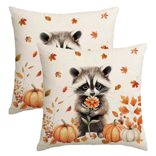 Herbst-Kissenbezüge, 45,7 x 45,7 cm, Waschbär-Ahornblätter, dekorativer Kürbis-Überwurf-Kissenbezug, Ernte, Herbst, Kissenbezug für Bauernhaus, Zuhause, Sofa, Wohnzimmer, Dekoration, 2 Stück Herbst-Kissenbezüge, 45,7 x 45,7 cm, Waschbär-Ahornblätter, dekorativer Kürbis-Überwurf-Kissenbezug, Ernte, Herbst, Kissenbezug für Bauernhaus, Zuhause, Sofa, Wohnzimmer, Dekoration, 2 Stück von NUTEEN