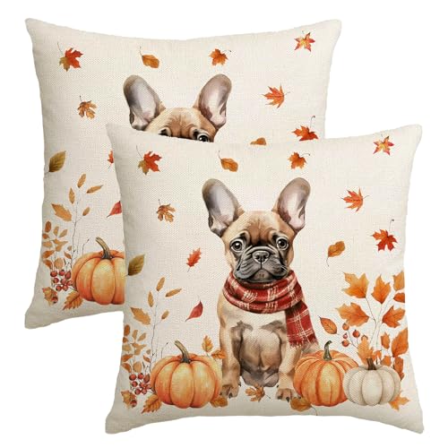Kissenbezüge für den Herbst, Motiv: Französische Bulldogge, Herbst-Kürbis-Ernte, Hund, Bauernhaus, Heimdekoration, Sofa, Schlafzimmer, 45,7 x 45,7 cm, 2 Stück Kissenbezüge für den Herbst, Motiv: Französische Bulldogge, Herbst-Kürbis-Ernte, Hund, Bauernhaus, Heimdekoration, Sofa, Schlafzimmer, 45,7 x 45,7 cm, 2 Stück von NUTEEN