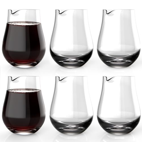 Mini-Karaffen, Mini-Weinkaraffen Einzelnes Portion, Glas Weinkaraffen Set, Glas Mini-Karaffen Dekanter Kleine Einzelne Weinkaraffe (Set of 6 (200ml) Y) von NUTRIUPS