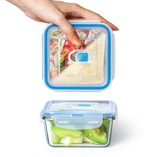 NUTRIUPS 0.5L Glasbehälter Mit Deckel, Quadrat Frischhaltedosen Mit Deckel, Klein Meal Prep Boxen (2er-Set) von NUTRIUPS