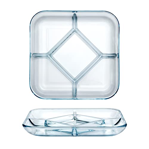 NUTRIUPS Glasscheibe, Portion Platten für Erwachsene, Portionskontrollplatten zur Gewichtsreduktion (25cm*3cm Square Divided Plate) von NUTRIUPS