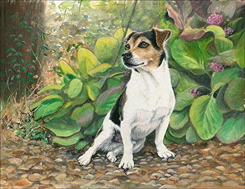 NUWCECK DIY Ölgemälde Paint by Number Kit für Kinder Jack Russell Terrier Hund Malen nach Zahlen DIY Ölgemälde Leinwand drucken Wandkunst Home Decoration von NUWCECK