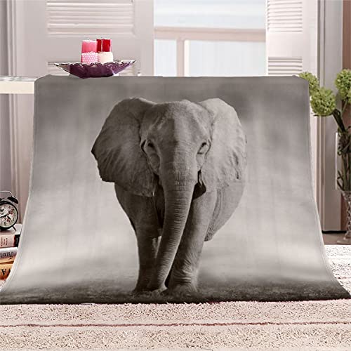 NUYSP 3D Elefant Kuscheldecke Flauschige Wohndecke 130x150 cm Natürliche Tiere Flanelldecke Microfaser Decke Sommer Warme Sofadecke Couchdecke Tagesdecke Teenager Jungen Mädchen Reisedecke NUYSP 3D Elefant Kuscheldecke Flauschige Wohndecke 130x150 cm Natürliche Tiere Flanelldecke Microfaser Decke Sommer Warme Sofadecke Couchdecke Tagesdecke Teenager Jungen Mädchen Reisedecke von NUYSP