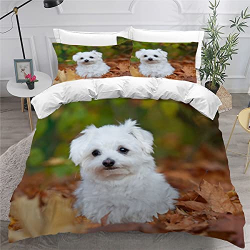 NUYSP Maltesisch Bettwäsche 135x200 Kinder Bettwäsche-Set 3D Motiv Herbstblätter Bettbezug Set mit Reißverschluss Kuschelig Mikrofaser Bettwaren Dekorativ Bettbezüge mit 2 Kissenbezug 80x80cm NUYSP Maltesisch Bettwäsche 135x200 Kinder Bettwäsche-Set 3D Motiv Herbstblätter Bettbezug Set mit Reißverschluss Kuschelig Mikrofaser Bettwaren Dekorativ Bettbezüge mit 2 Kissenbezug 80x80cm von NUYSP