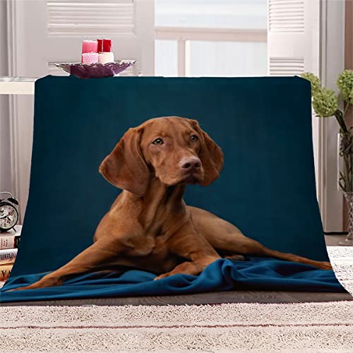 NUYSP Ungarn Vizsla Decke 130x150 cm Weiche Flauschige kuscheldecke 3D Effekt Haustier Hund Extra Weich Microfaser Flanelldecke Bettüberwurf Wohndecke Sofadecke Couchdecke mit Muster für Teenager von NUYSP