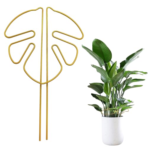 NVGFTG 2 Stück Pflanzenstütze Monstera Rankhilfe Zimmerpflanzen Gold Pflanzenstütze Plant Ssupport Rankhilfe Pflanzen Stütze Monstera Stab Metall für Außen und Zimmerpflanzen von NVGFTG