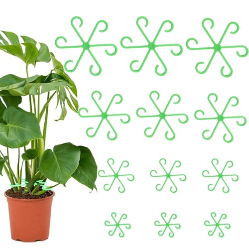 NVGVUP 12 Stück Pflanzenstütze Staudenhalter, Vier Größen Pflanzenstielhalter, Pflanzenhalter Pflanzenklammern zur Unterstützung, Pflanzstützgreifer für Monstera, Blumen, Hortensien, Tomaten (Grün) NVGVUP 12 Stück Pflanzenstütze Staudenhalter, Vier Größen Pflanzenstielhalter, Pflanzenhalter Pflanzenklammern zur Unterstützung, Pflanzstützgreifer für Monstera, Blumen, Hortensien, Tomaten (Grün) von NVGVUP