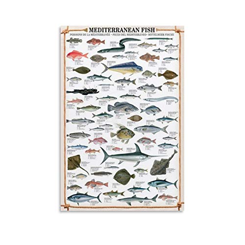 NVHAI Poster mit mediterranen Fischen, dekoratives Gemälde, Leinwand, Wandkunst, Wohnzimmer, Schlafzimmer, Gemälde, 40 x 60 cm von NVHAI
