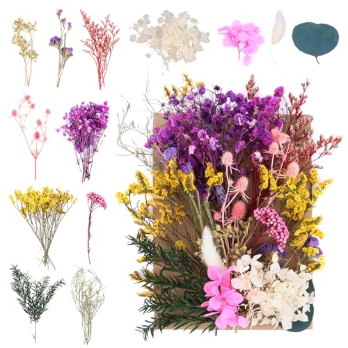 NVIYAM Trockenblumen zum Basteln Natürliche Getrocknete Blumen Trockenblumen Frühling Set Blumen zum Basteln Blumen Natürliche Gemischte Echte Getrocknete Gepresste Blumen für Diy Epoxidharz Scrapbook von NVIYAM