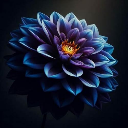 Dahlien-Rhizome– Überraschungsgeschenk – schnell wachsend – schöne Gartendekoration – kälte- und trockenheitsresistent-2 Rhizome-B von NVNJHJN