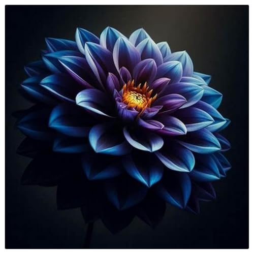 Dahlien knollen.Immergrüne.Dahlien knollen winterhart.Mehrjährige Blumen.Dahlien zwiebeln.Riesen dahlien knollen.-10 knollen-E von NVNJHJN