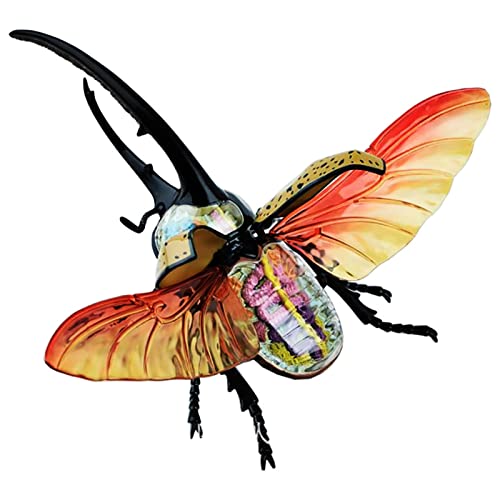 NVYAZJ Anatomisches Modell des Hercules-Käfers, 4D-Simulationsmodell der Tieranatomie, Modelle der inneren Skelettgruppe des Käfers, abnehmbare 22 Teile für Studenten und Tierforscher NVYAZJ Anatomisches Modell des Hercules-Käfers, 4D-Simulationsmodell der Tieranatomie, Modelle der inneren Skelettgruppe des Käfers, abnehmbare 22 Teile für Studenten und Tierforscher von NVYAZJ