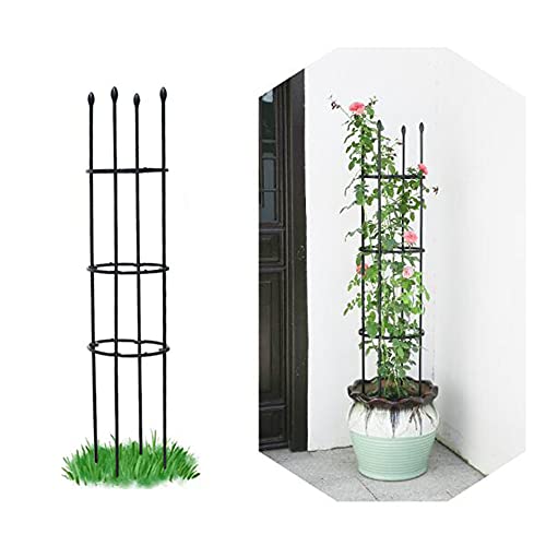 NWHJ Pflanzenkäfig für Töpfe,Metall Rankgitter Gartenpflanze Unterstützung 90 cm/120cm Hoch, Dekorativer Rankhilfe Pflanzenständer für Garten Terrasse Eingang von NWHJ
